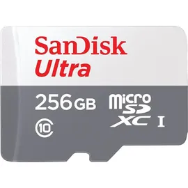 SanDisk Ultra microSDXC 256GB, UHS-I, Class 10 (SDSQUNR-256G-GN3MN)