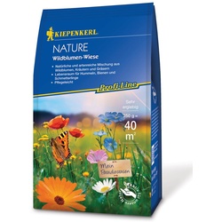 Kiepenkerl Wildblumen-Wiese 250 g
