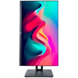 NILOX NXM24REG11 24" schwarz