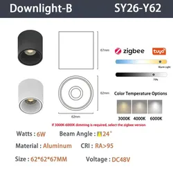 6mm Intelligente Zigbee-Spotlights Schwarz Typ B 6W