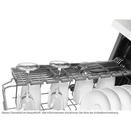 Amica EGSPV 587 921 Einbau-Geschirrspüler (vollintegrierbar, 448 mm breit)