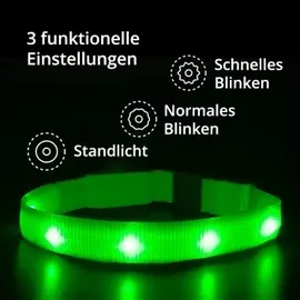 petsation Leuchtendes Katzenhalsband grün