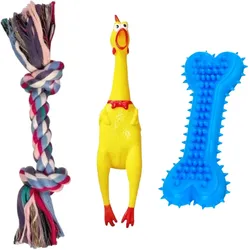 Hundespielzeug-Set