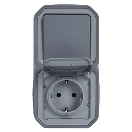 Legrand Schuko-Steckdose IP44 Grau 1 St.