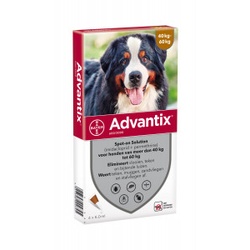 Advantix 600/3000 für Hunden von 40 bis 60 Kg 4 Pipetten