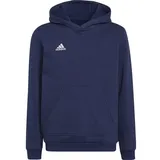 Adidas Entrada 22 Sweat, TENABL, 176