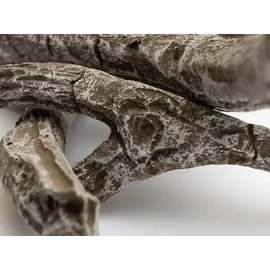 Napoleon Treibholz deko - Purview 60