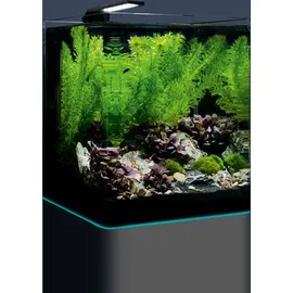 Dennerle Nano Cube Complete, 20 Liter - Mini Aquarium Komplettset