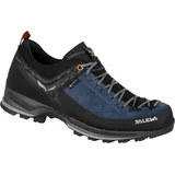 Salewa Herren MTN Trainer 2 GTX Schuhe (Größe 42.5, blau)