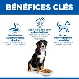 Hill's Science Plan Large Breed Adult Lamm & Reis 14 kg
