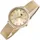 Tommy Hilfiger Damenuhr Classic 1782699 - gold