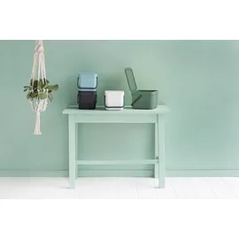 Brabantia Sort & Go Abfallbehälter 6 l mint