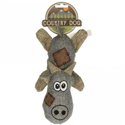 Country Dog Molly