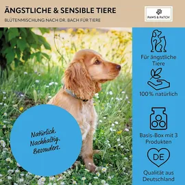 Paws & Patch Blütenmischung 3er Basis-Box 30 g