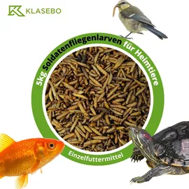 KLASEBO Soldatenfliegenlarven 5 kg