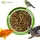 KLASEBO Soldatenfliegenlarven 5 kg