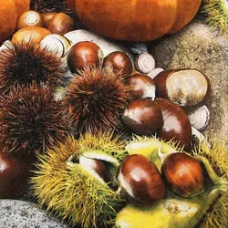 Home Fashion®, Maroni, Lunch-Servietten aufgefaltetes Maß 33 cm x 33 cm, im Viertelfalz, 20 Stück pro Pack