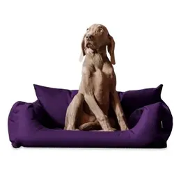 Tierlando NEMO Hundebett Hundesofa S M L Hundekorb Katzenbett 65 80 100cm lila 1 m, 25 cm, 80 cm