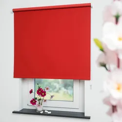 Seitenzugrollo LIEDECO "Uni" Gr. 12, rot, B:102cm H:240cm, Polyester, Rollos
