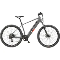 Telefunken E-MTB Aufsteiger M919 2023 29 Zoll RH 48 cm grau