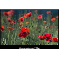 Vero Kalender Blumenträume 2026 Fotokalender DIN A3 von Tobias