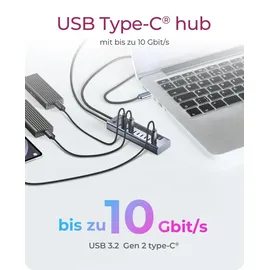 Icy Box IB-HUB1450-C31