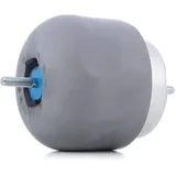 Meyle Lagerung, Motor