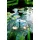 UBBINK Elimax 1000