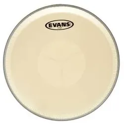 EVANS 11