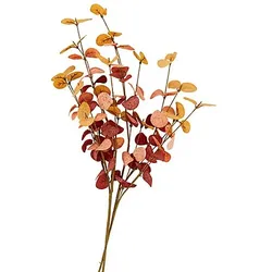 Eukalyptus-Zweig, 74 cm