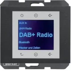 Berker 29847006 Radio DAB+, K.x anth.