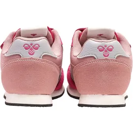 hummel Reflex Double Multi Cactus Flower 38