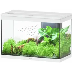 aquatlantis Splendid 145 weiß Aquarium mit Unterschrank Aquarium