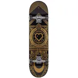 Blueprint, Skateboard
