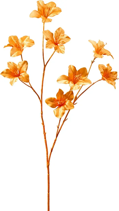 Bauhinia Zweig 84cm x2 orange