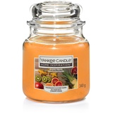 Yankee Candle Duftkerze Mittleres Glas Exotic Fruits 340 g, orange