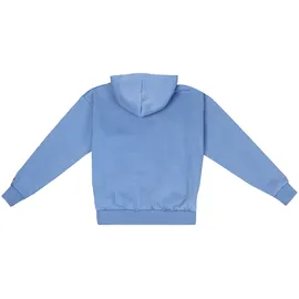 dropsize HEAVY OVERSIZE EMBO HOODIE - blau,