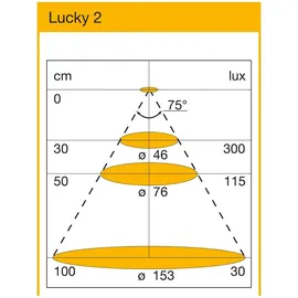 L&S LED Aufbauleuchte 2 Kunststoff 0,5 cm inkl. Leuchtmittel grau
