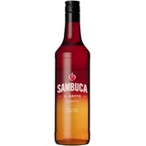 IL SANTO Sambuca - Anislikör - Ausgewogene Mischung aus Anis und Süßholz - Weich-süße Note - Prämierter Anis-Schnaps 38% Vol. - (1 x 0.7 l)