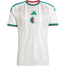 adidas Algerien Heimtrikot 2026 Herren Gr. L