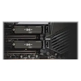 Silicon Power XD80 1 TB M.2