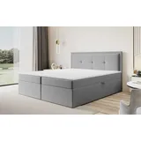 Fun Möbel Boxspringbett Schlafzimmerbett DEGNA 180x200cm Stoff Gerra Grau / Speed - Grau