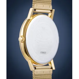 Festina F20022/2 Edelstahl 39,3 mm UF20022/2