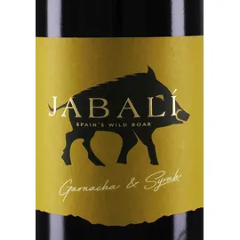 Virgen del Aguila 2024