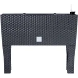 Prosperplast Rato Case High 80 x 33 x 62 cm anthrazit