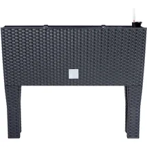 Prosperplast Rato Case High 80 x 33 x 62 cm anthrazit