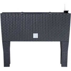 Prosperplast Rato Case High 80 x 33 x 62 cm anthrazit