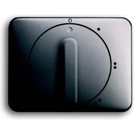 Busch-Jaeger Zentralscheibe pla 2542 DR/01-20