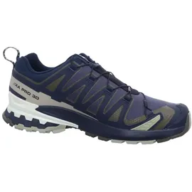 Salomon XA Pro 3D V9 GTX Herren India Ink/Olive Night/Aloe Wash 46