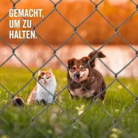 GAH Alberts Maschendrahtgeflecht 25 x 0,8 m Grau